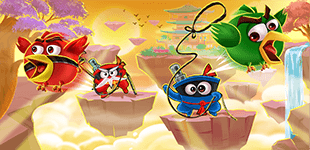 Ninja de Corda
